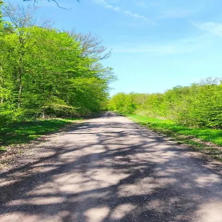 Family Getaway In Dankerode, Cleaning Included * Dankerode (Saxony-Anhalt)
