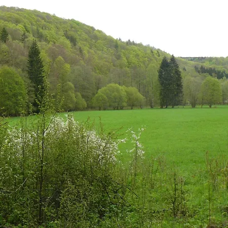 Holiday home Family Getaway In Dankerode, Cleaning Included Dankerode (Saxony-Anhalt)